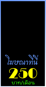 Banner 160x300