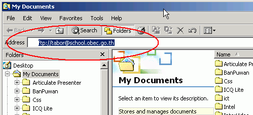 FTP Professional with Windows Explorer
