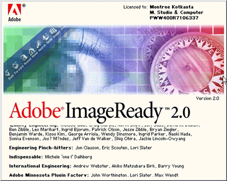 ImageReady Logo