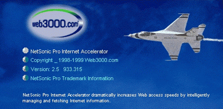 Net Sonic Pro 2.5 Logo