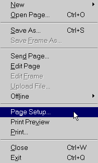 Page Setup...