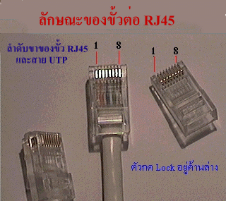 RJ-45 Connector