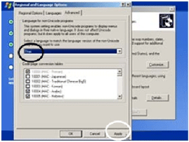 Language for non-Unicode