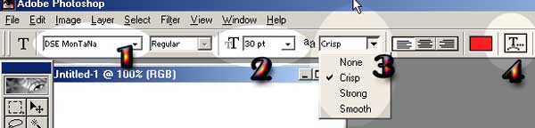 Font Palette in PhotoShop 6.0