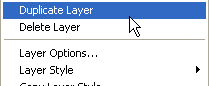 Duplicate Layer
