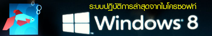 Windows 8