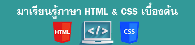 learn html css