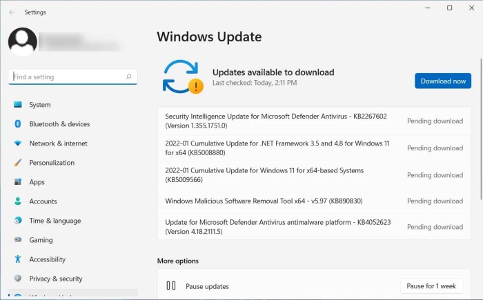 windows update 08