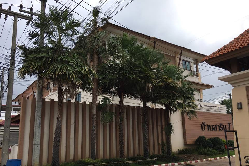 ย้ายต้นปาล์ม