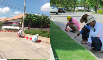 การพัฒนาหมู่บ้าน