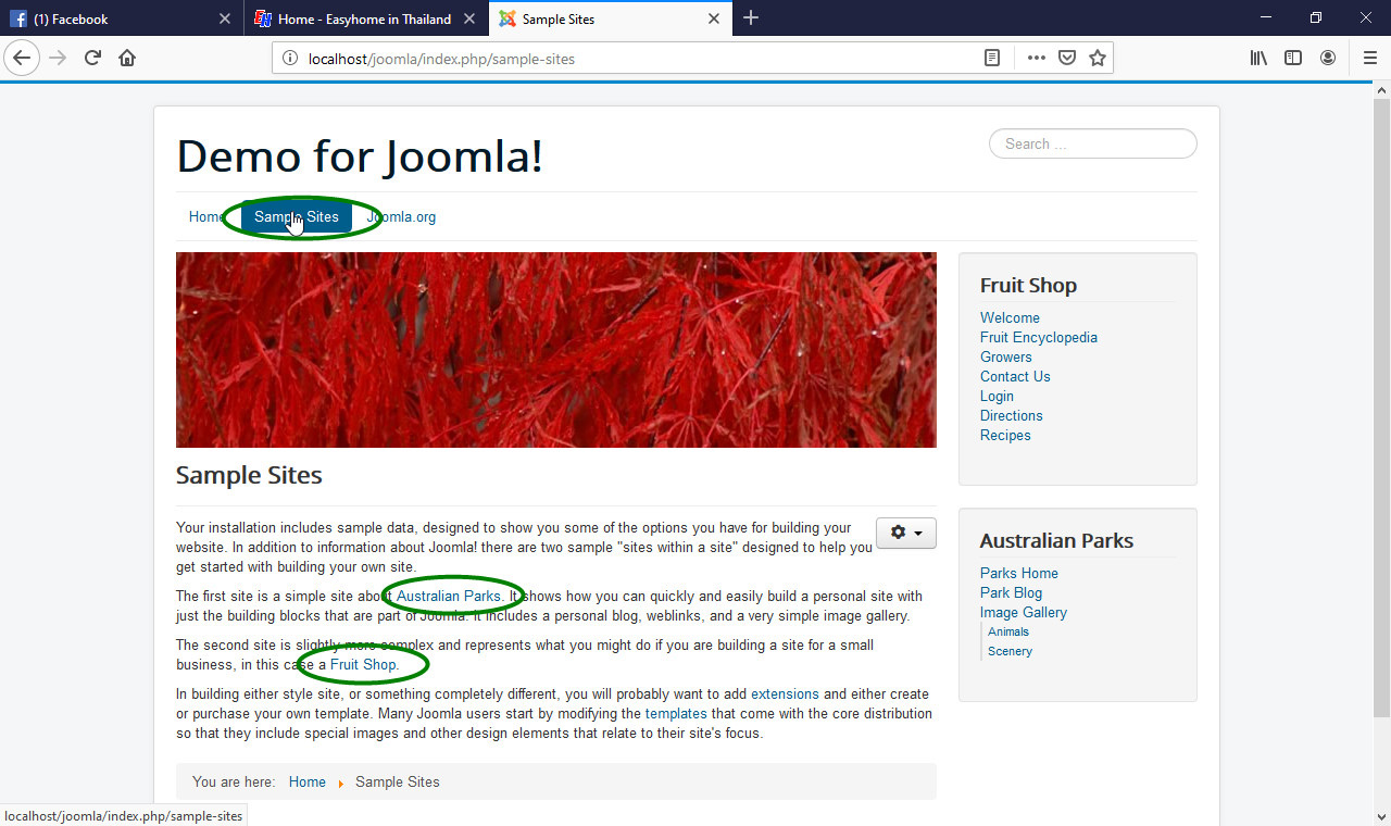 joomla cms 30