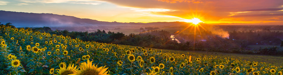 Vinaora Nivo Slider 3.x