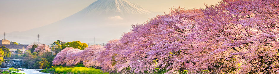 Vinaora Nivo Slider 3.x