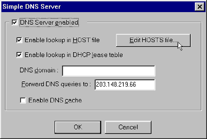 Simple DNS Server