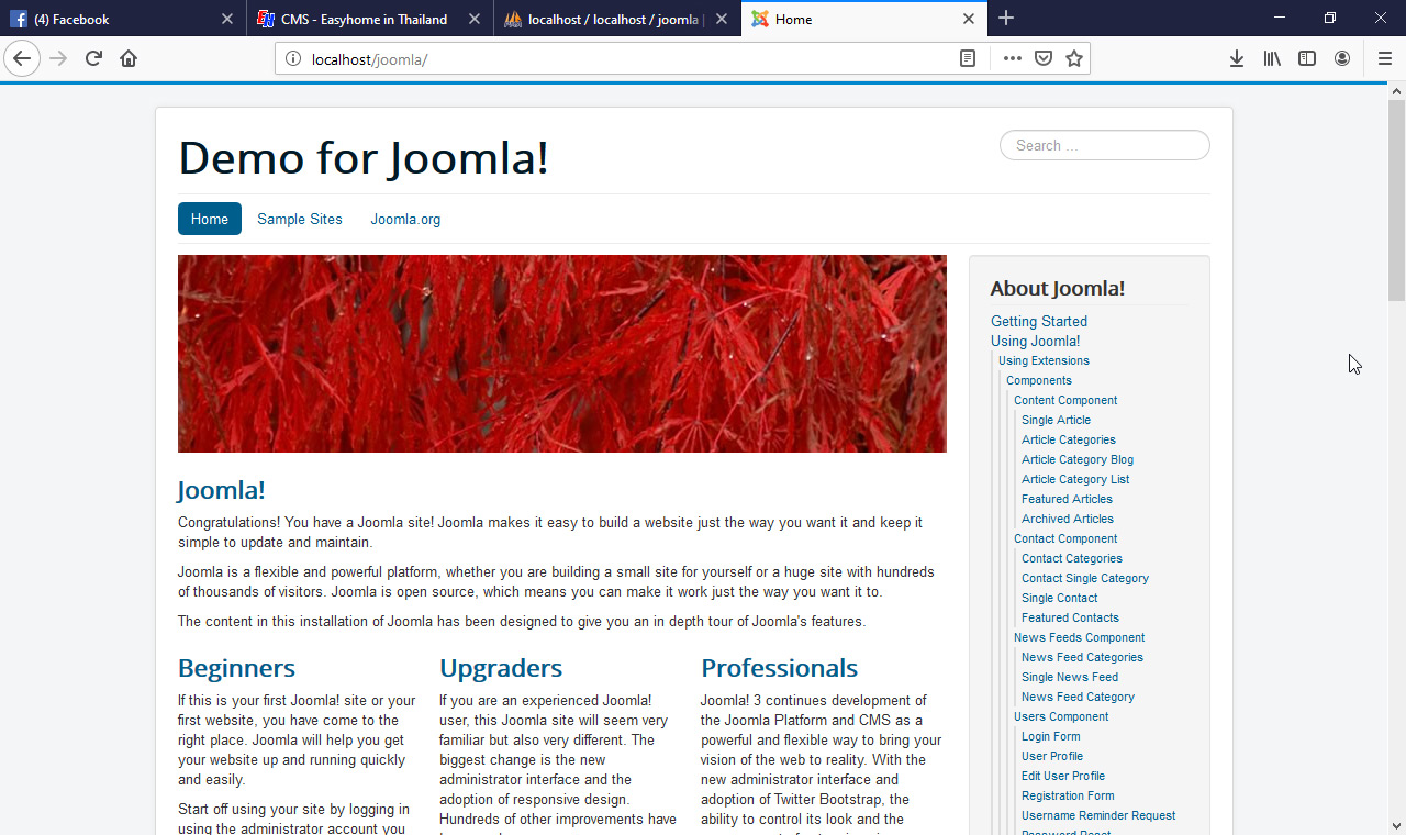 joomla cms 15
