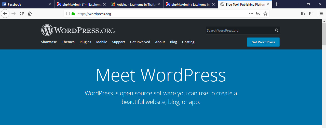 wordpress 01
